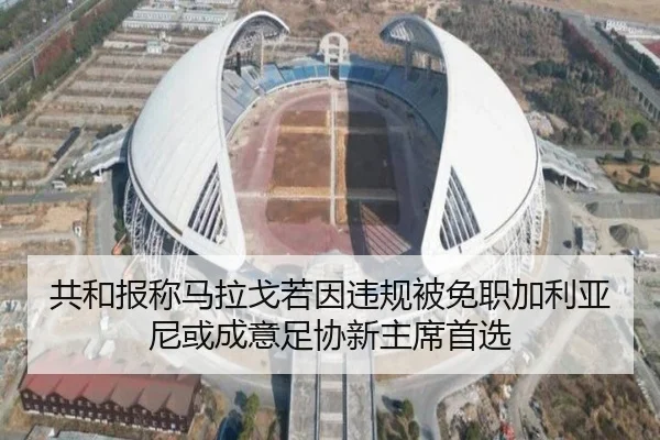 共和报称马拉戈若因违规被免职加利亚尼或成意足协新主席首选